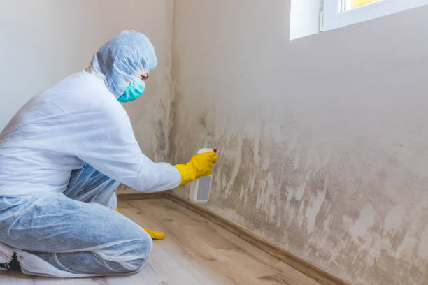 Licensed Crawl Space Mold Removal service in Ashburn, VA - WQB Mold Removal