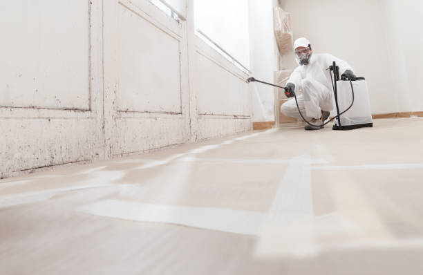 24/7 Emergency Crawl Space Mold Removal experts in Ashburn, VA