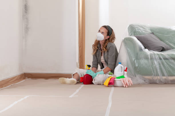 Reliable Crawl Space Mold Removal contractor in Ashburn, VA by WQB Mold Removal