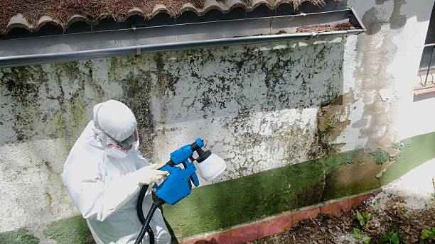 Top rated local Crawl Space Mold Removal specialists in Ashburn, VA